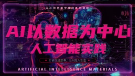 以数据为中心的可视化人工智能实践
